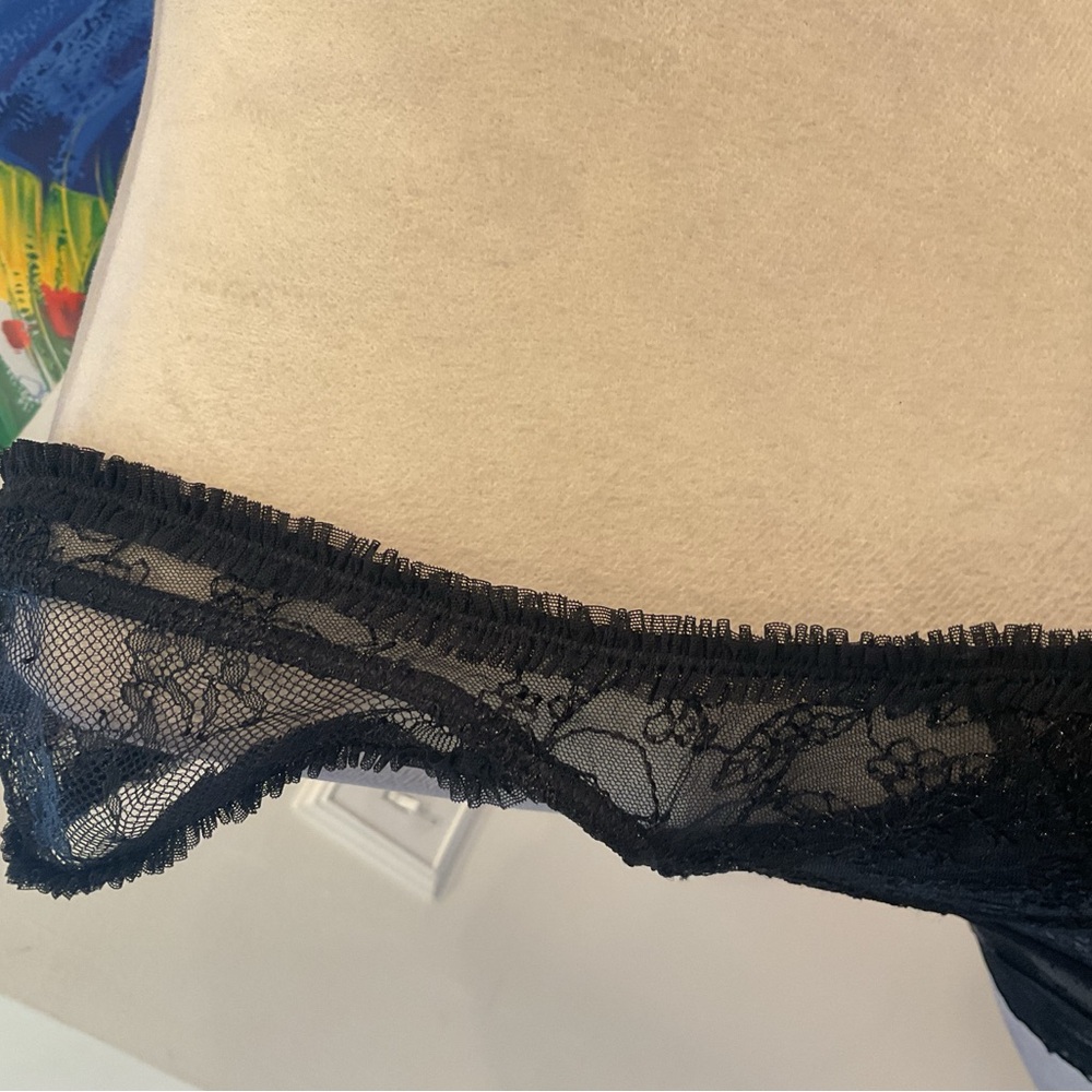 Lioness Black Sheer Lace Bustier Tank - Picture 5 of 13